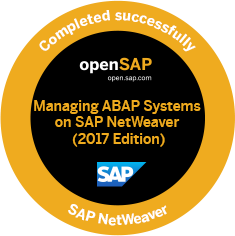 Badge SAP NetWeaver 2017