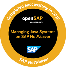 Badge SAP NetWeaver 2018